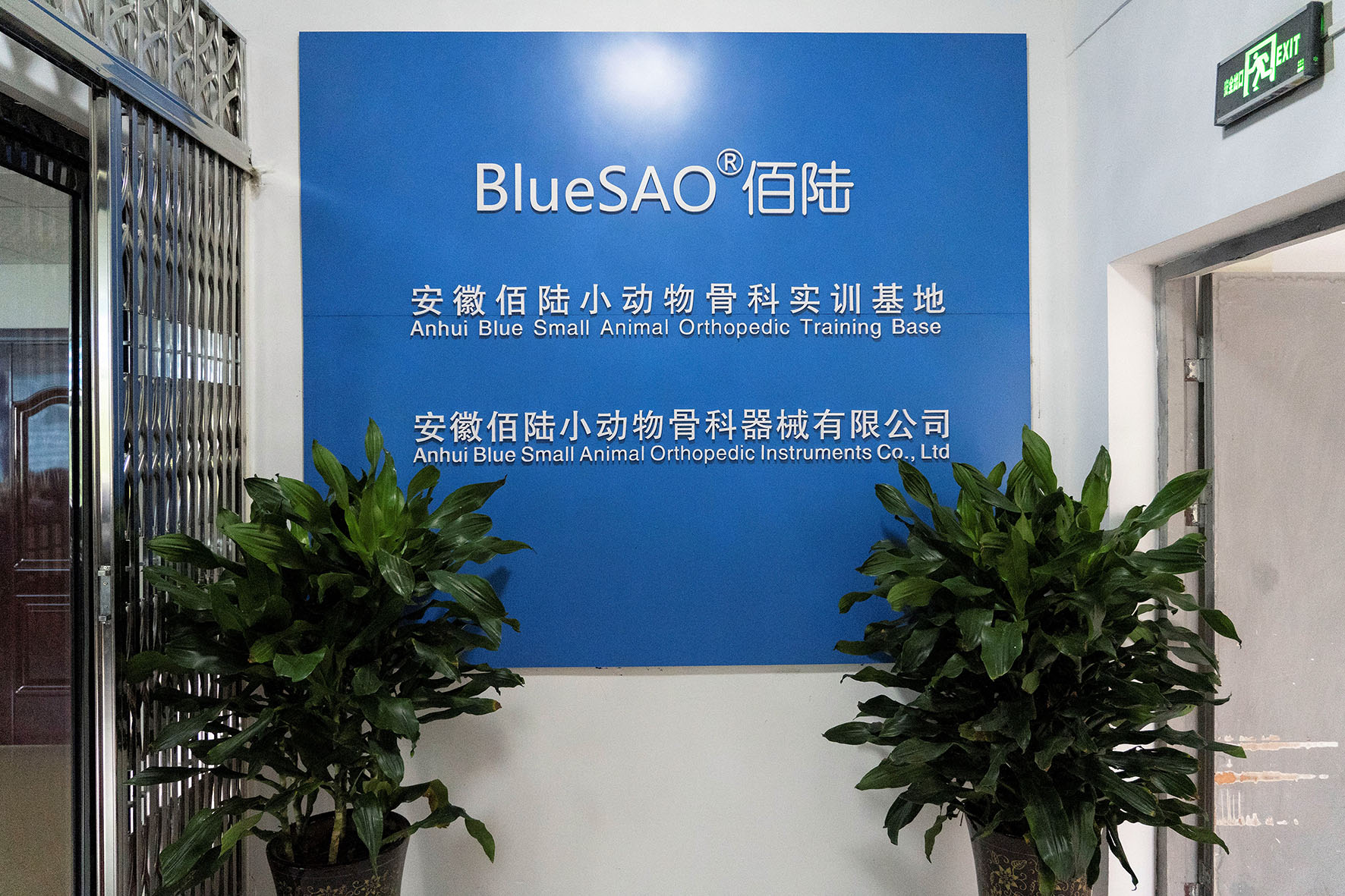 Veterinary Orthopedics Training Base