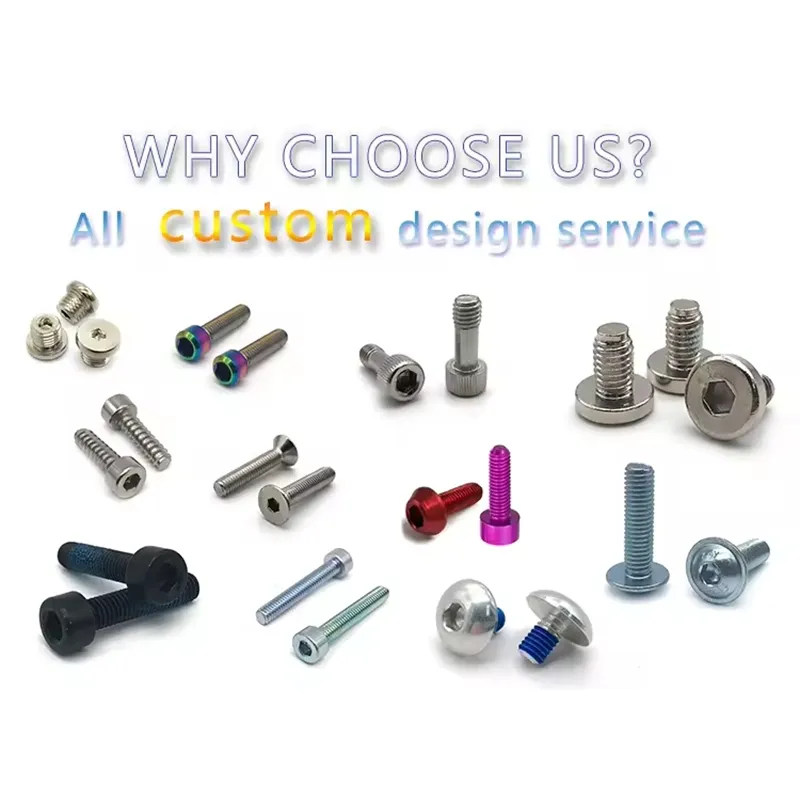 Custom Screw 1