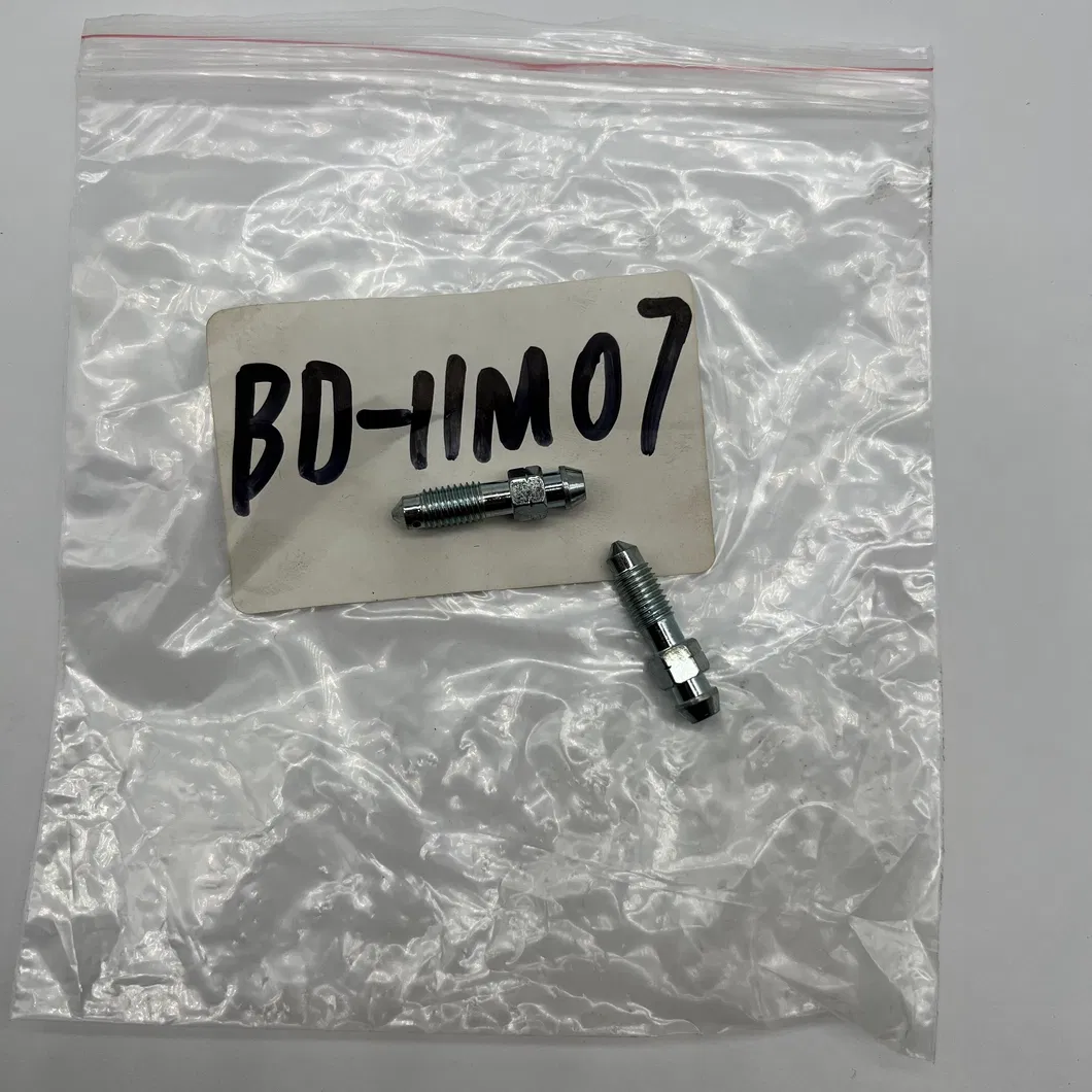 Bleeder Screw Detail 1