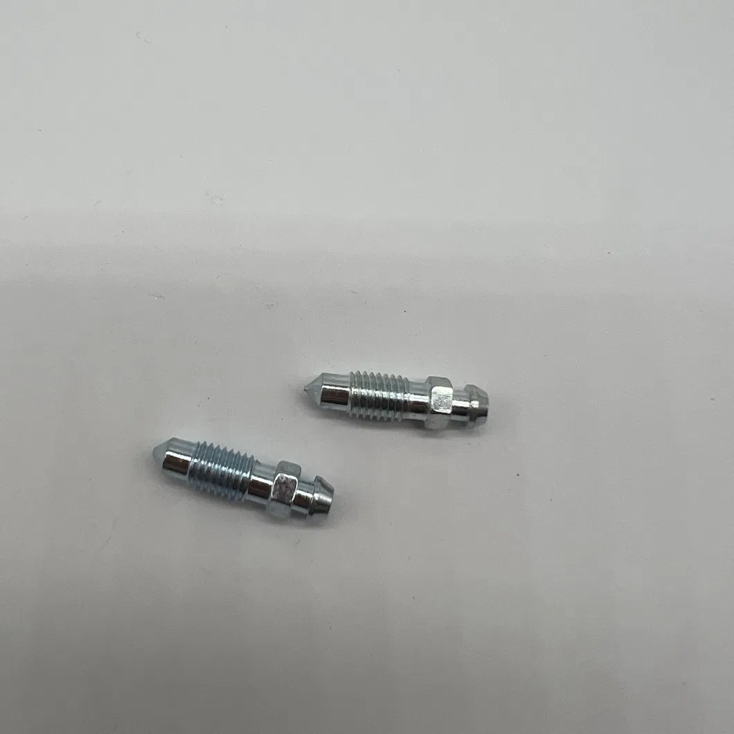 Bleeder Screw 2