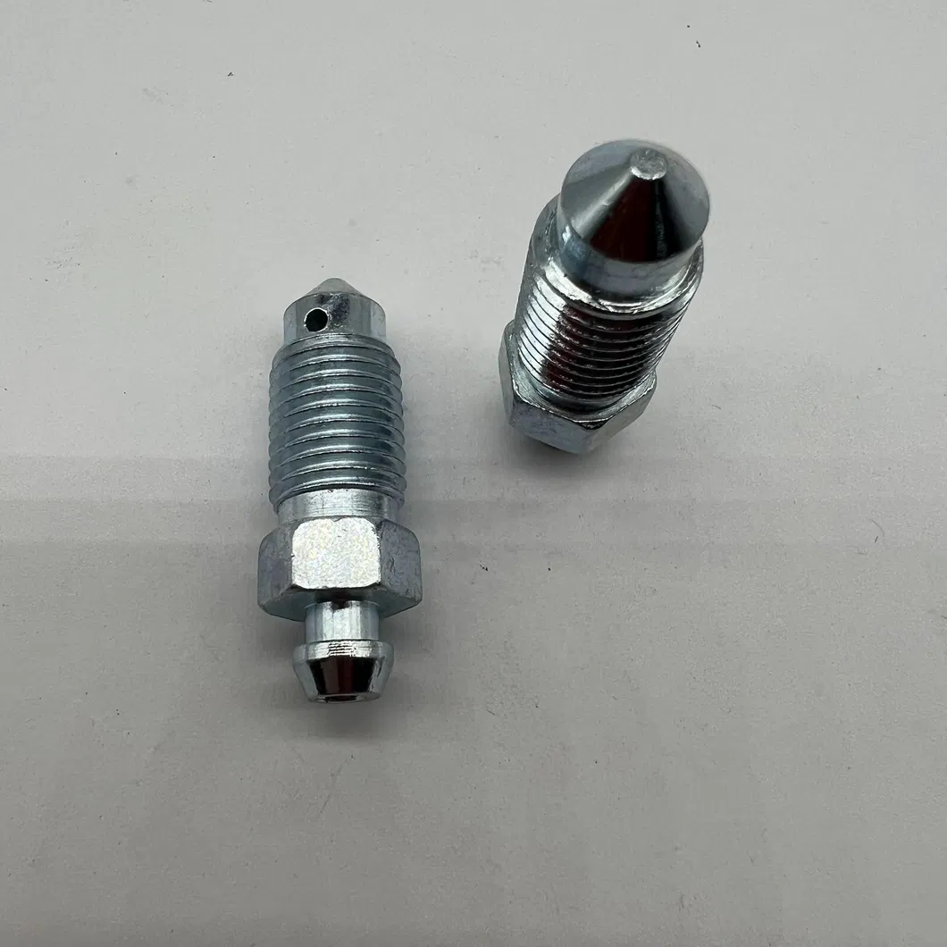 Bleeder Screw Detail 3