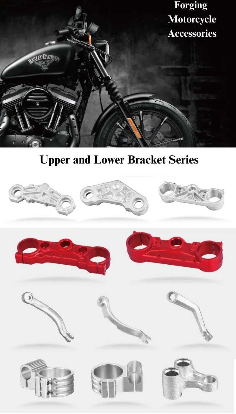 Disc Brake Caliper Bracket 5