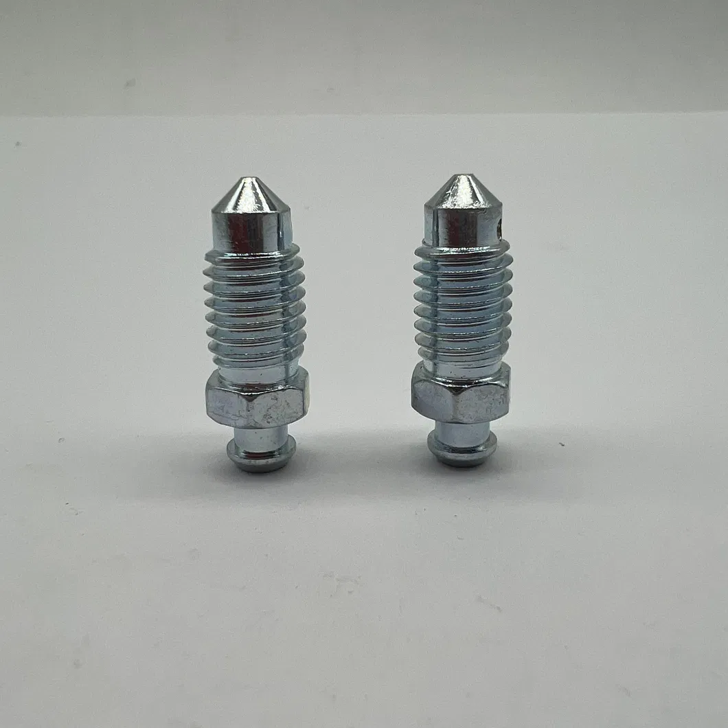 Bleeder Screw Visual 2