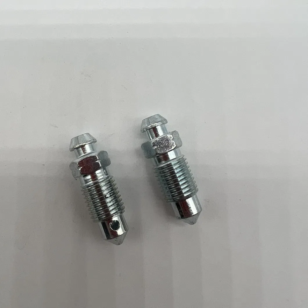 Bleeder Screw Detail 5