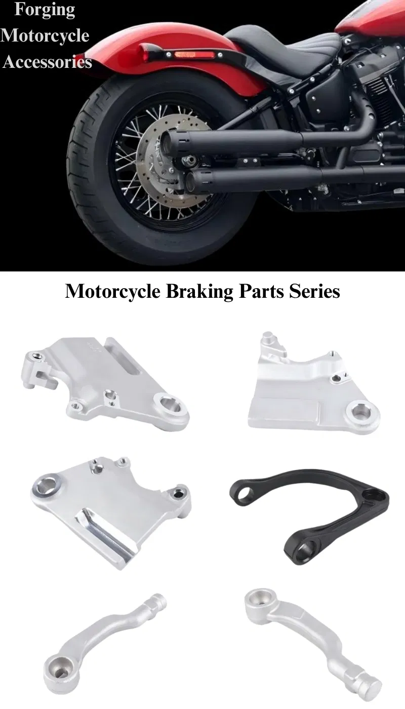 Disc Brake Caliper Bracket 11