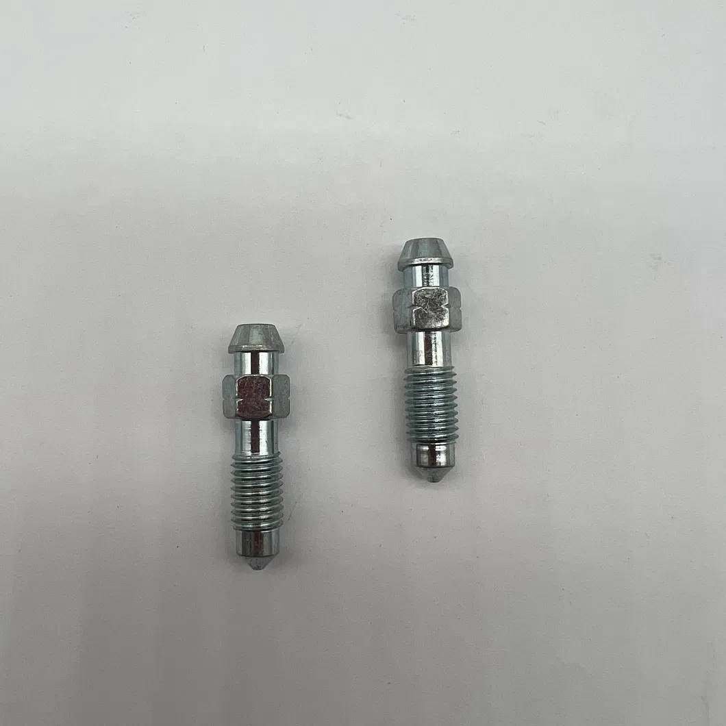 Bleeder Screw Detail 3