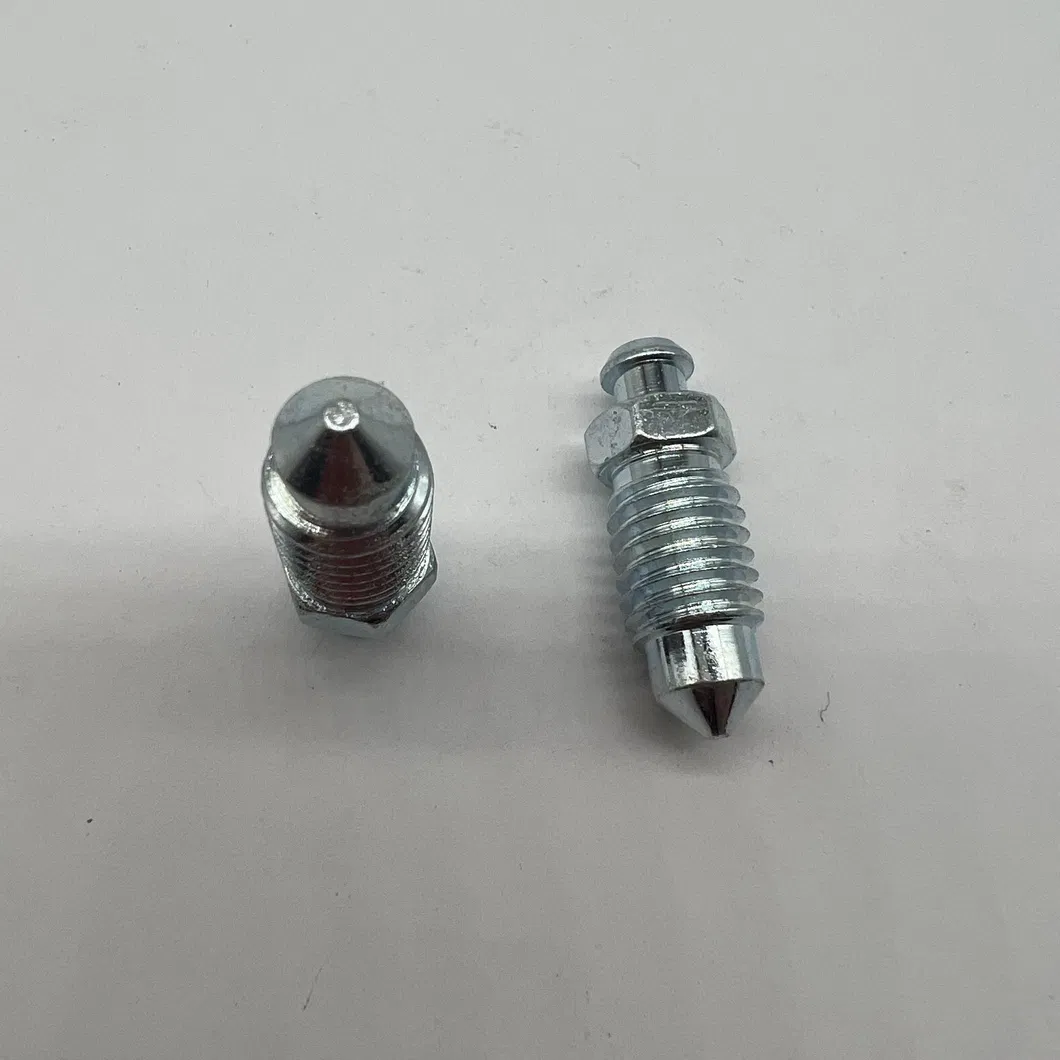 Bleeder Screw Visual 4