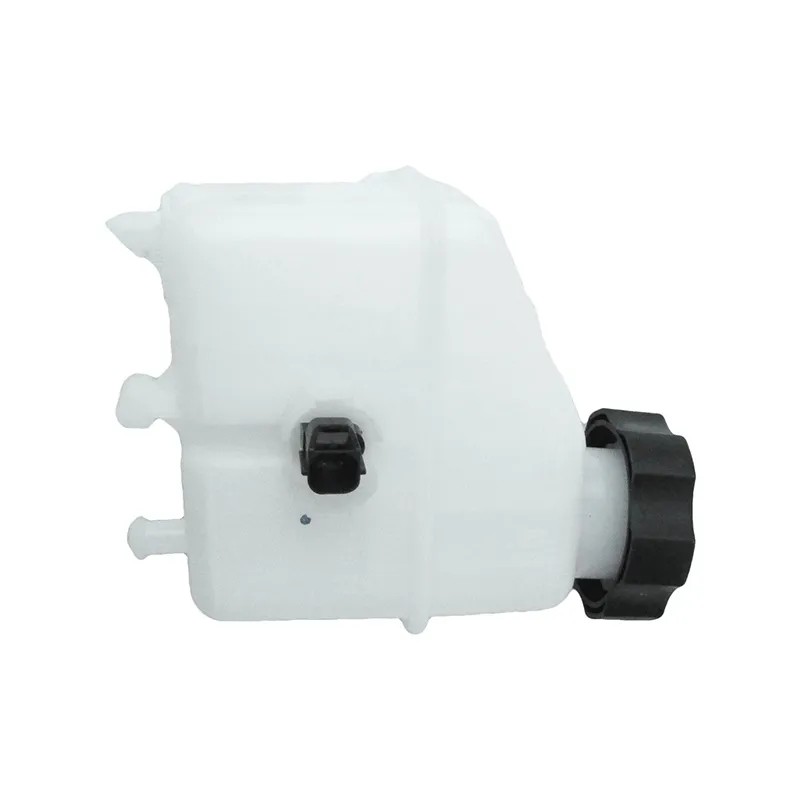 Brake Master Cylinder 6