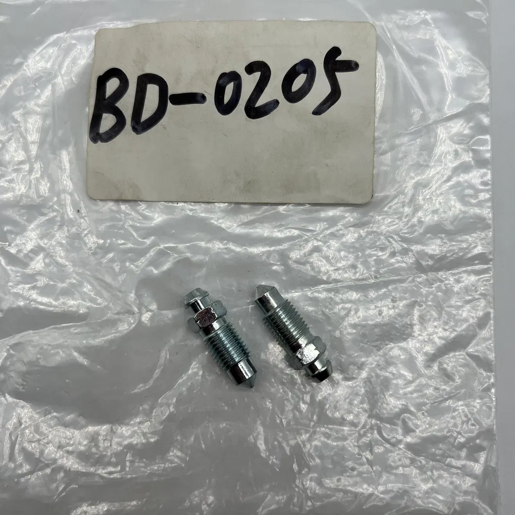 Bleeder Screw Detail 1