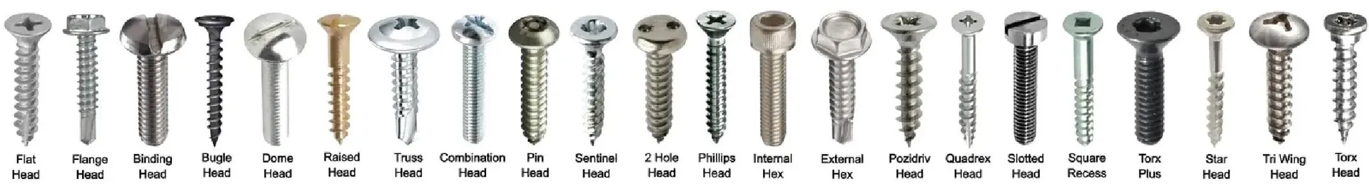 Screw Thread Type