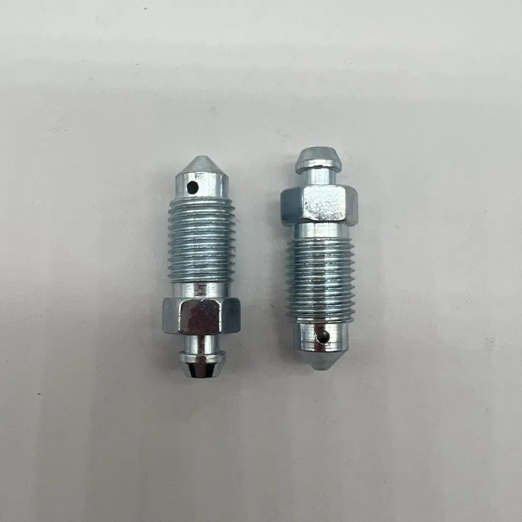 Bleeder Screw Detail 2