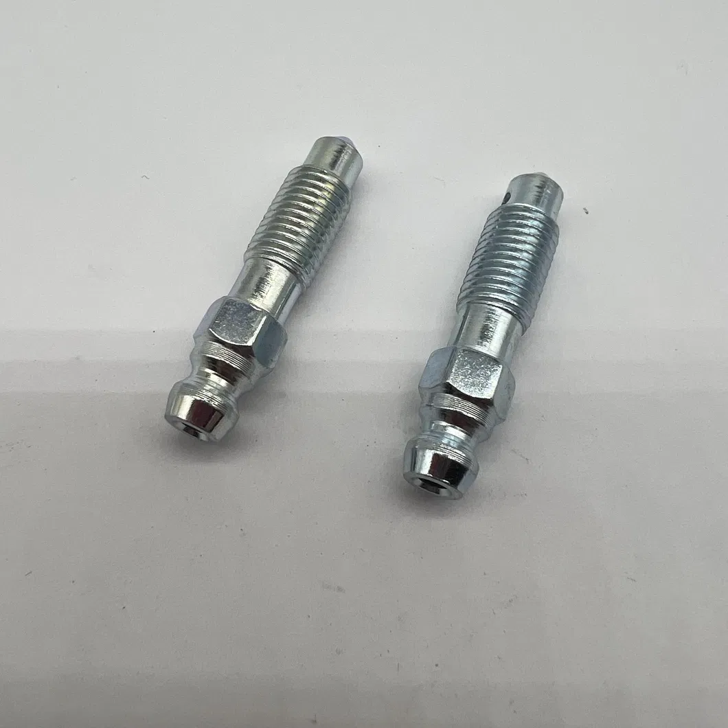 Bleeder Screw 4