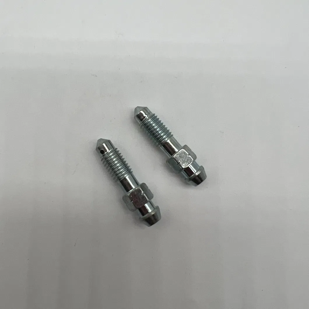 Bleeder Screw Detail 2